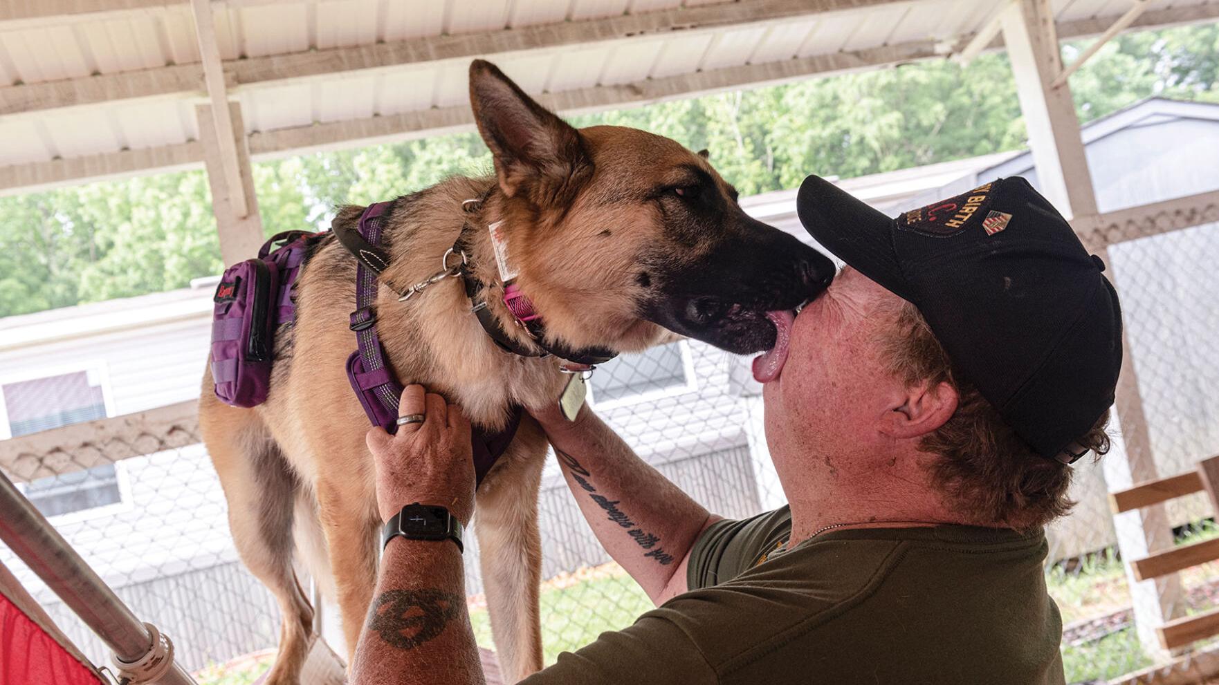 Working Dogs for Vets